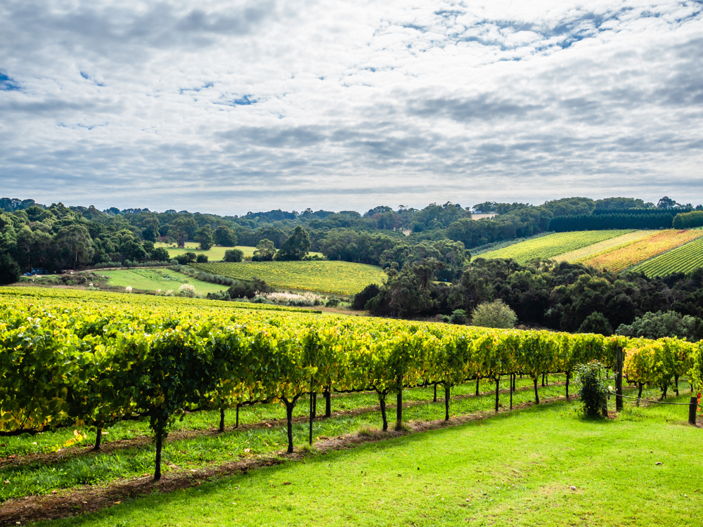 Mornington Peninsula